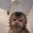 showerpunch