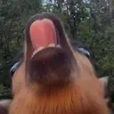 MEH