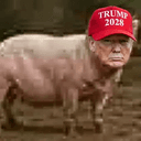 PORKNALD