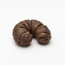 turd