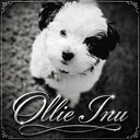 $OLLIE