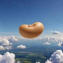 Bean
