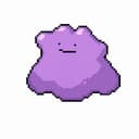 Ditto