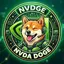 NVDGE