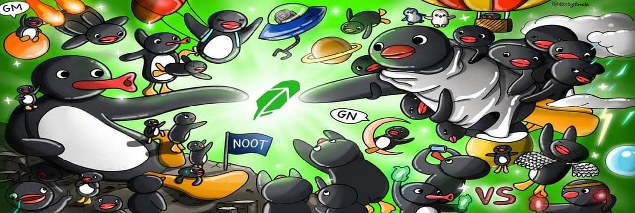 NOOT NOOT Banner