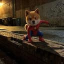 SPIDERDOG