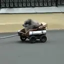 Paul