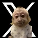 𝕏Monkey