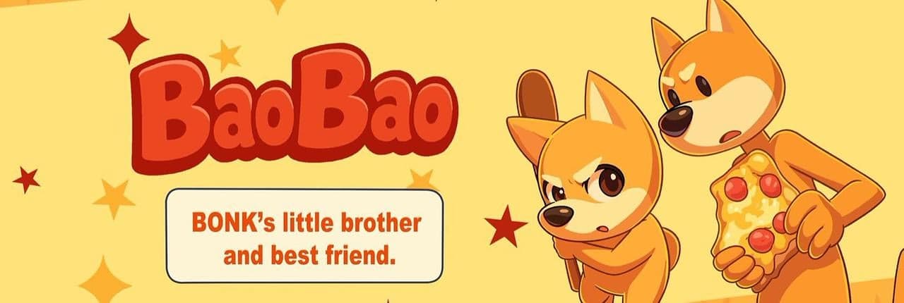 BaoBao Banner