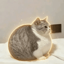 AAAA