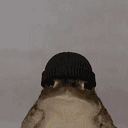 fregwifhat