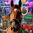 SkibidiRizz