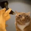 DRILL