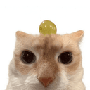ChiChi