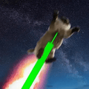 sendit