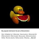 DUCK⁠