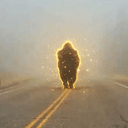 BISON