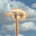 PBOP