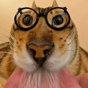 nerd