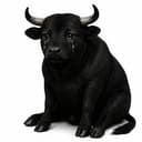 CASHBULL