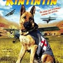 RinTinTin