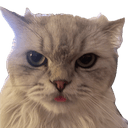 OWLCAT