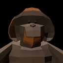 SAN