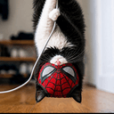 MEOW