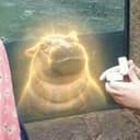 FIONA