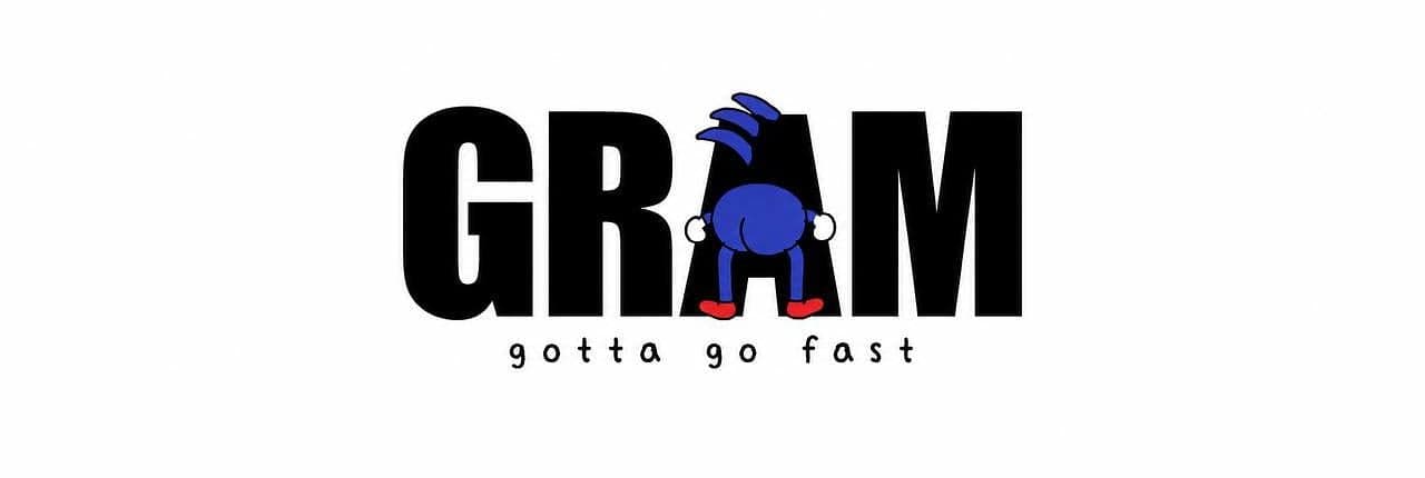 Gotta Go Fast Banner