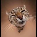 CATE