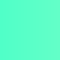 FLOKIMAX