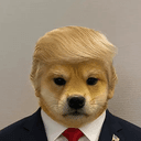 WIFTRUMP
