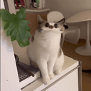 Meep