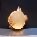 Onion