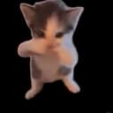 KICAU MANIA