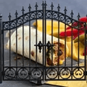 burritogate