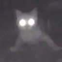 oliver