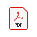 PDF