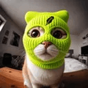 SKICAT