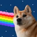 NYANDOG