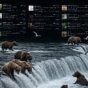 Bears