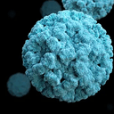 NOROVIRUS