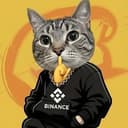 funny cat