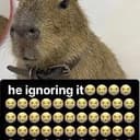Ignoring