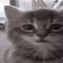 MILLY