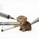 PIPECAT
