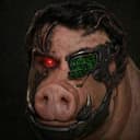 BoarBot