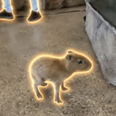BB
