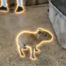 BB